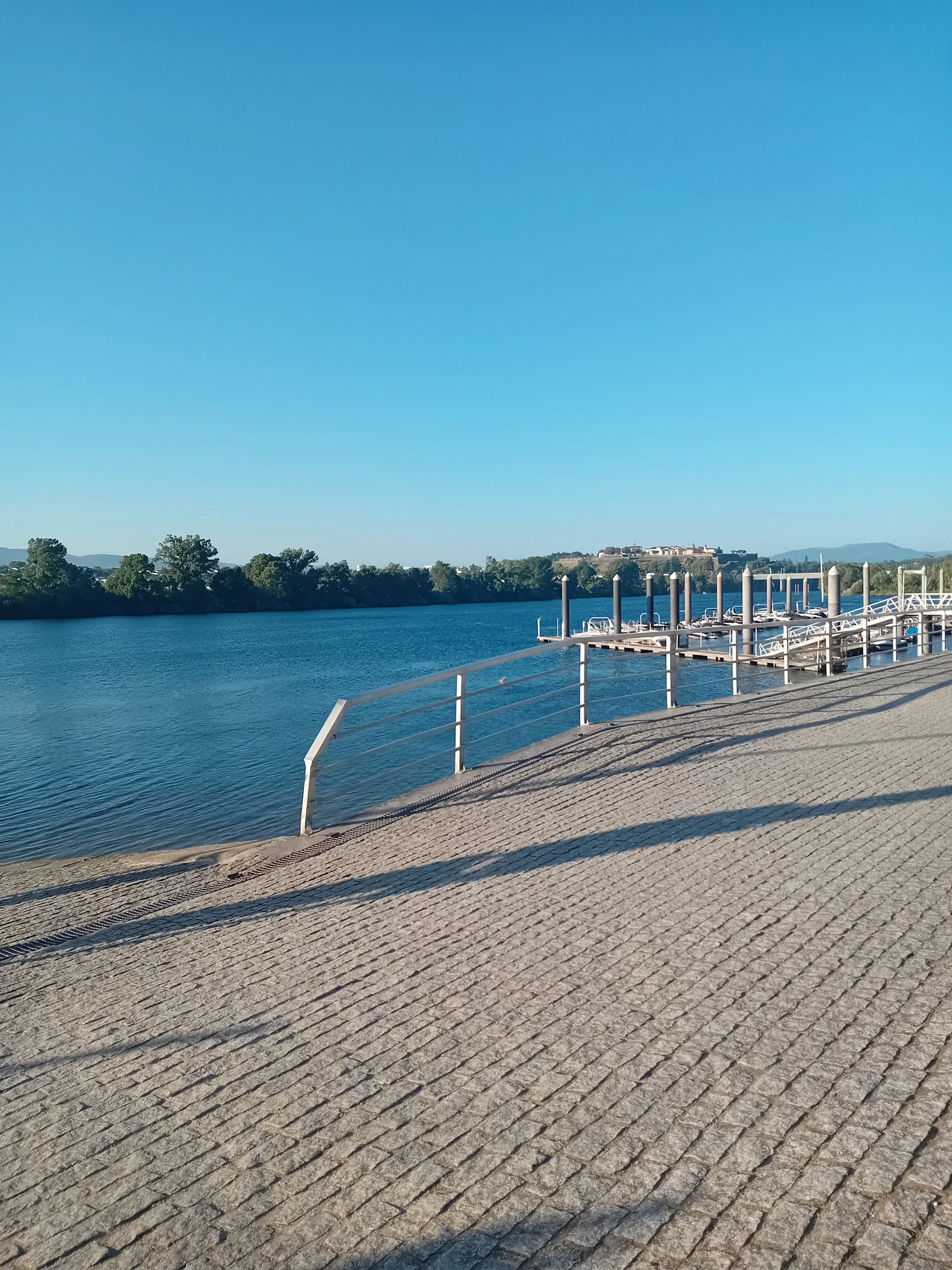 20250726_084659.jpg