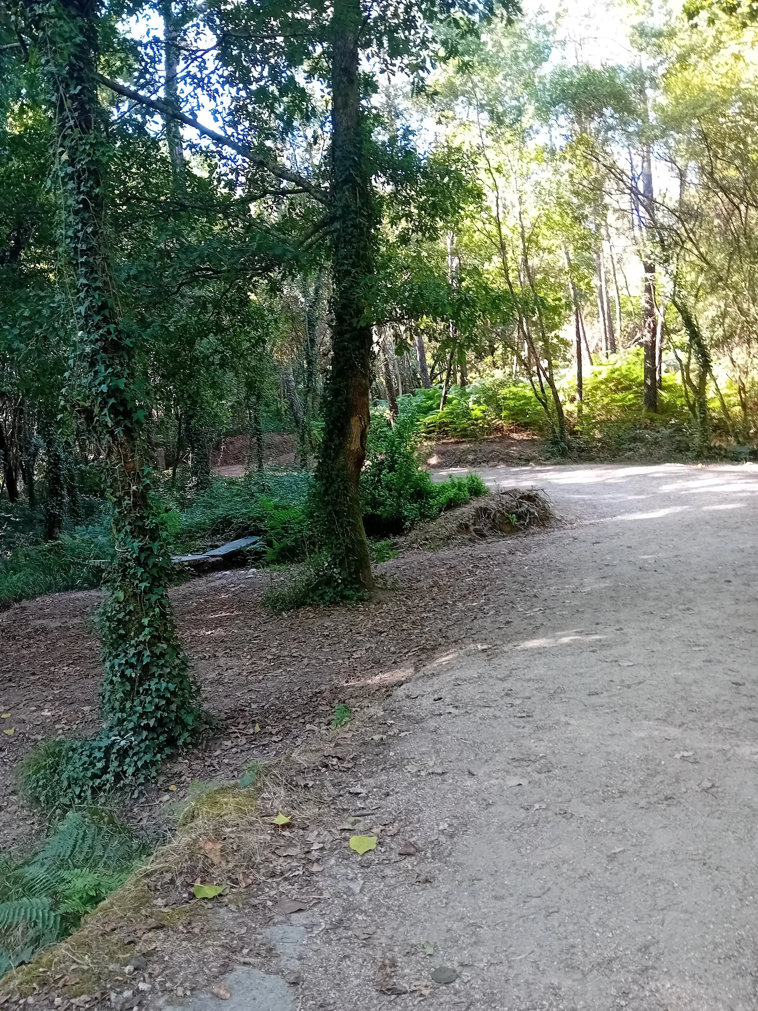 20250726_110526.jpg