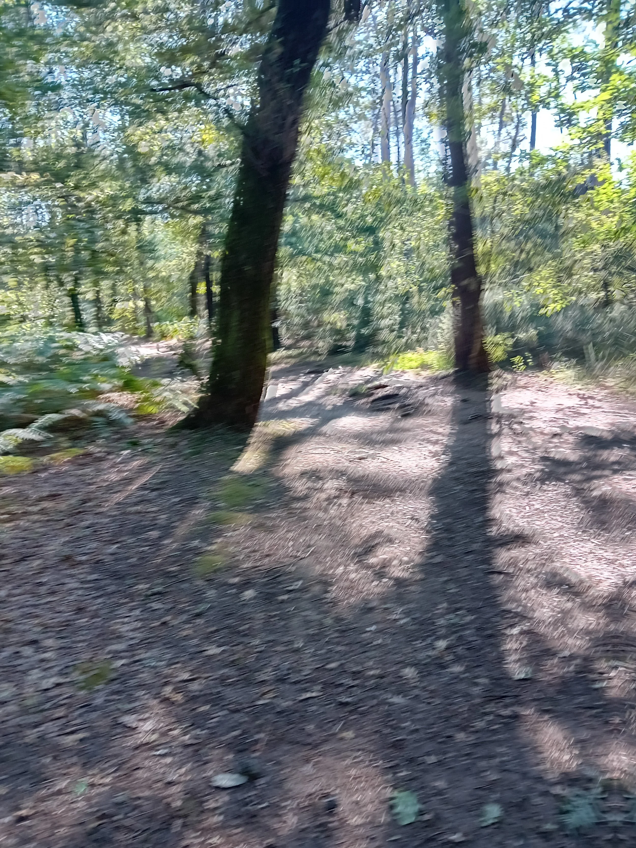 20250731_103436.jpg
