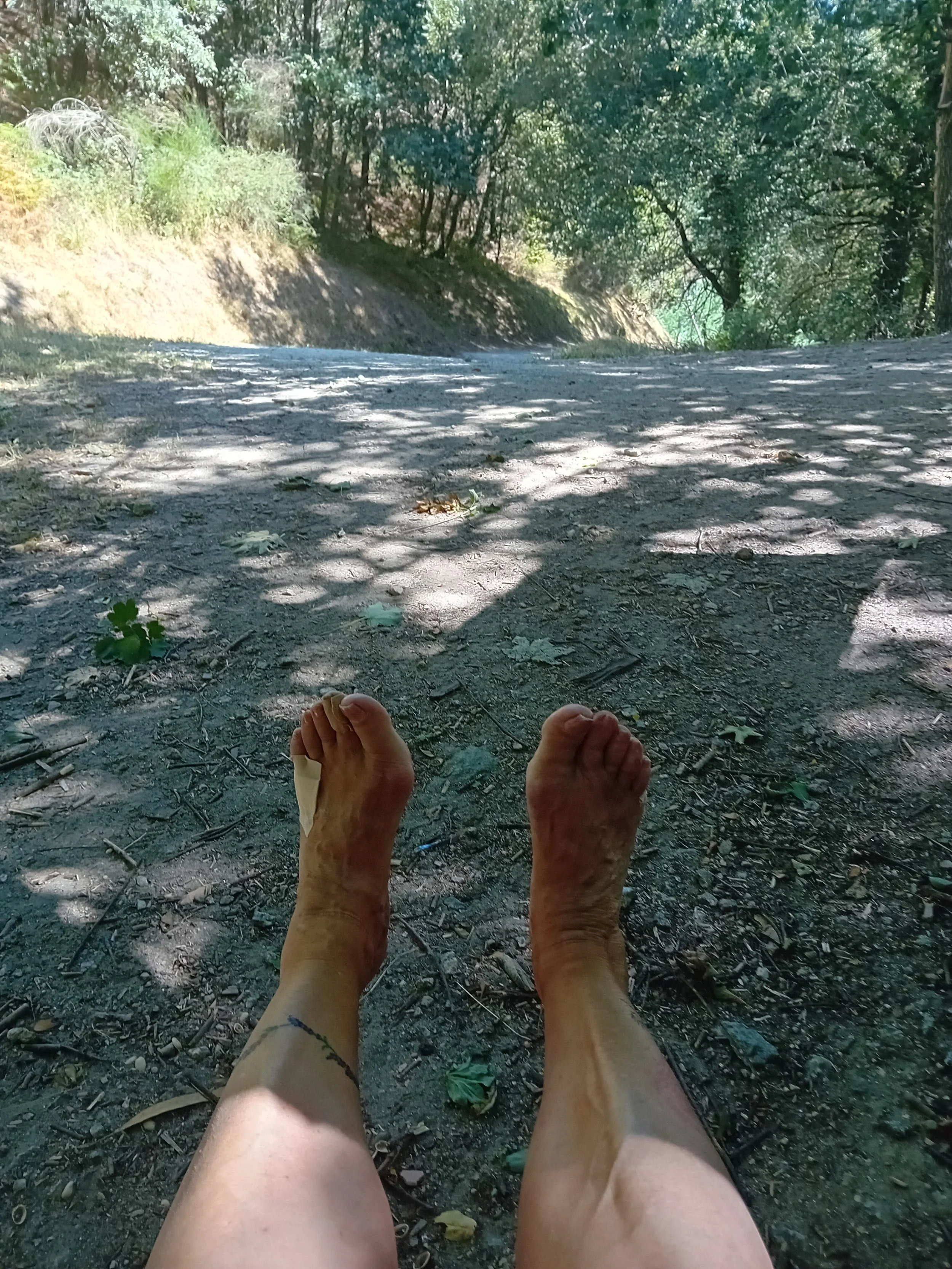 20250730_121753.jpg