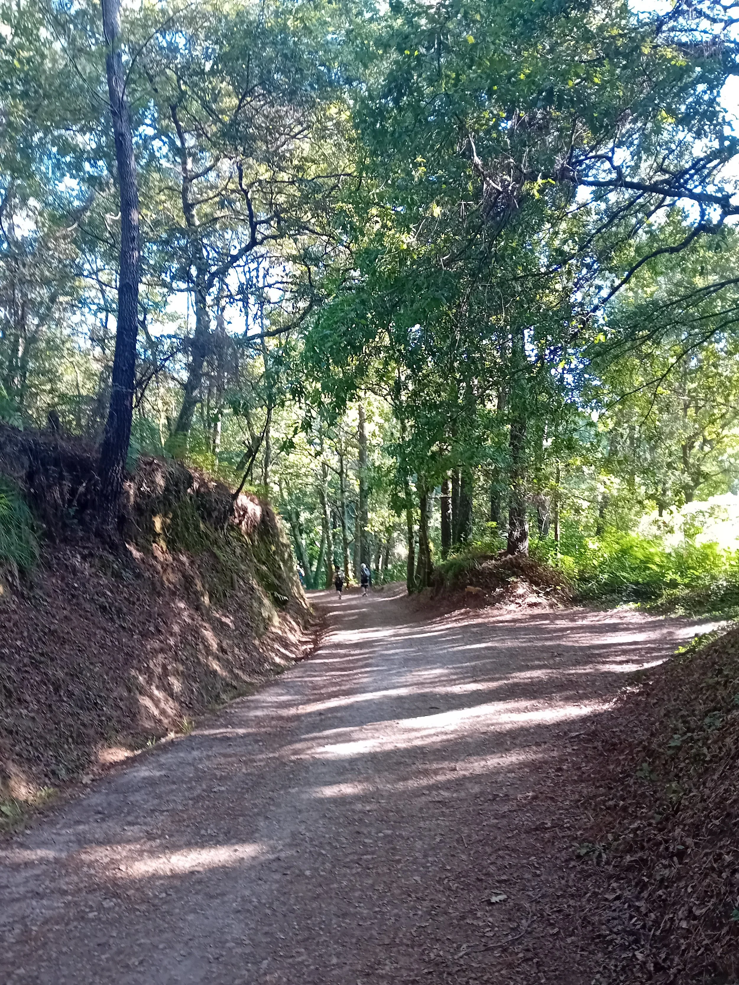 20250726_095344.jpg