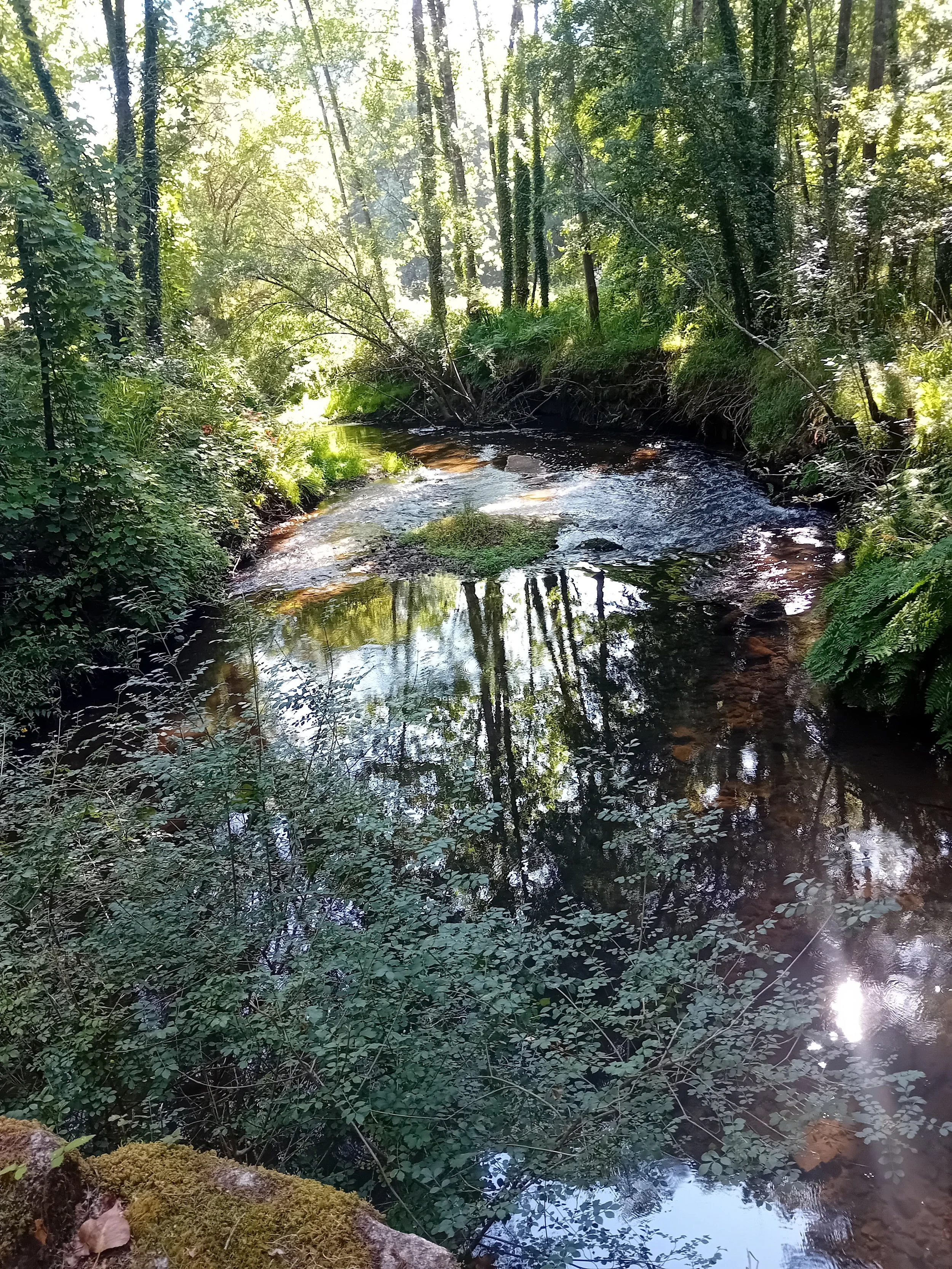 20250726_110532.jpg