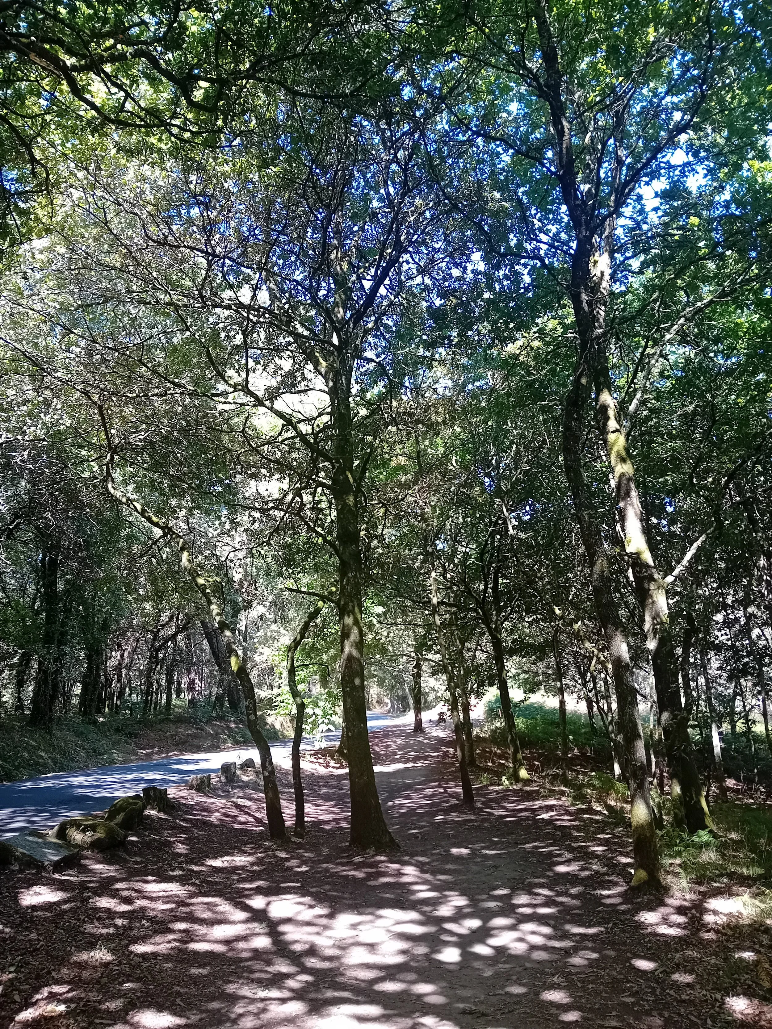 20250730_120241.jpg