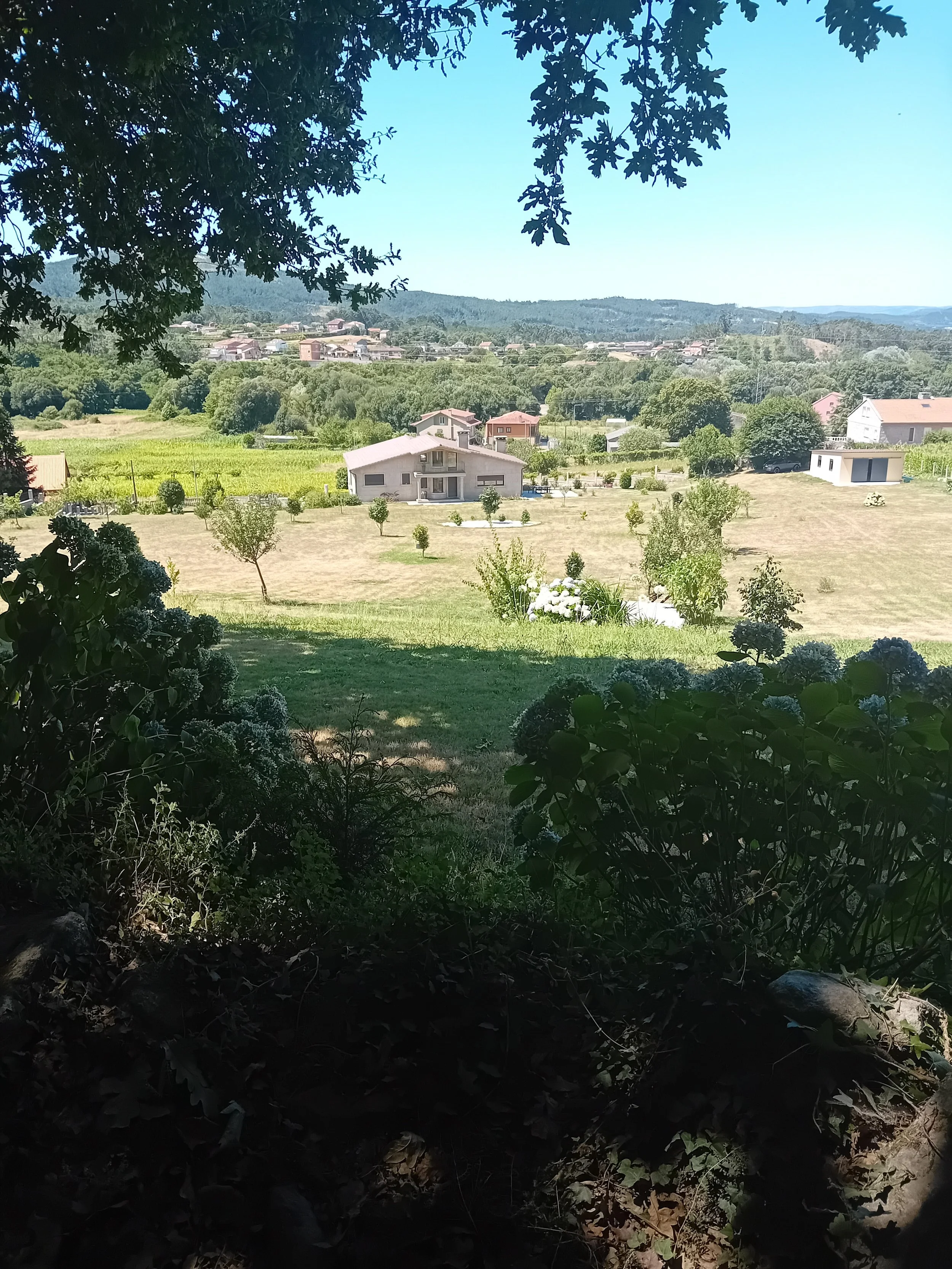 20250730_133504.jpg