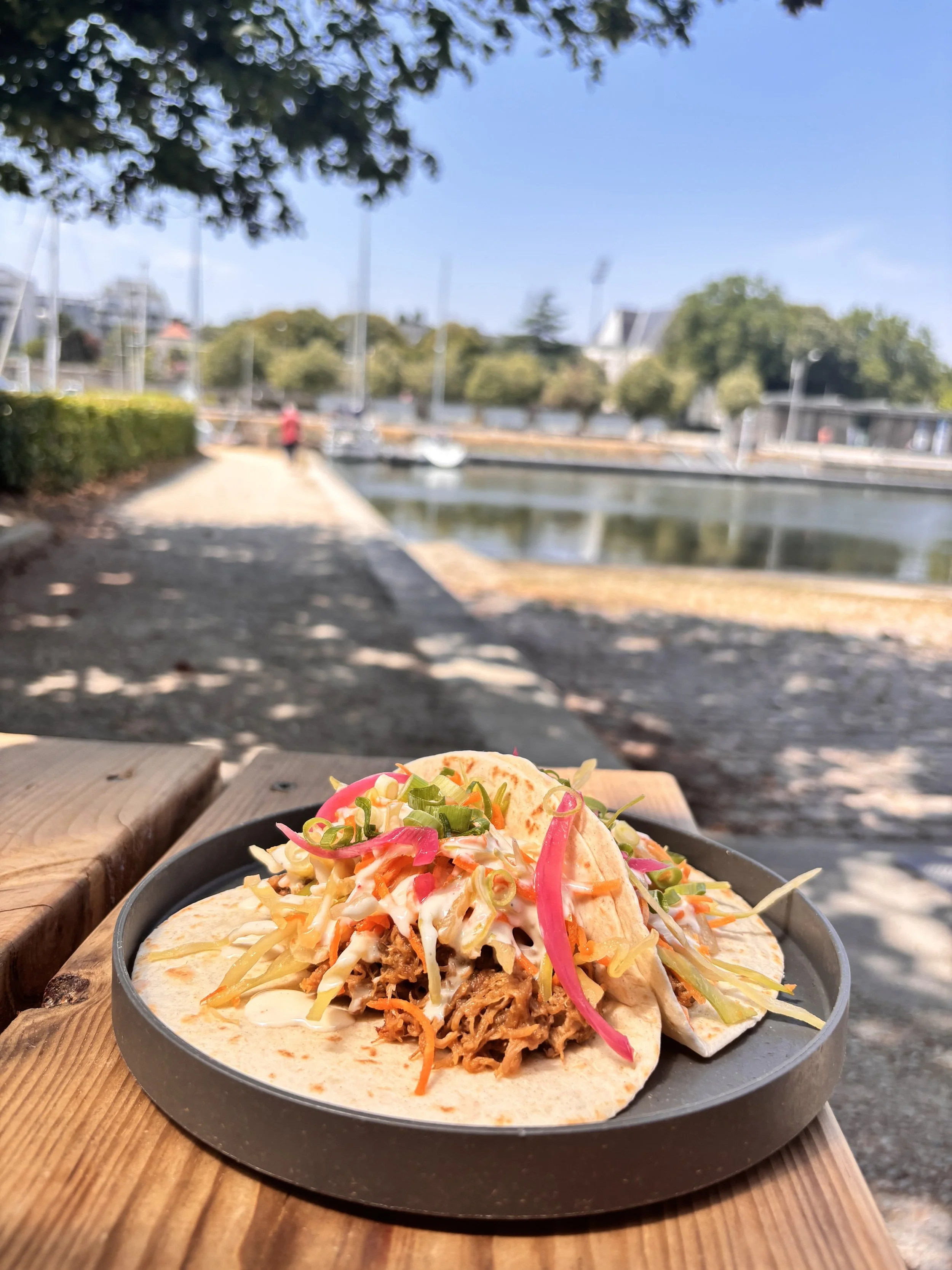 tacas.jpg