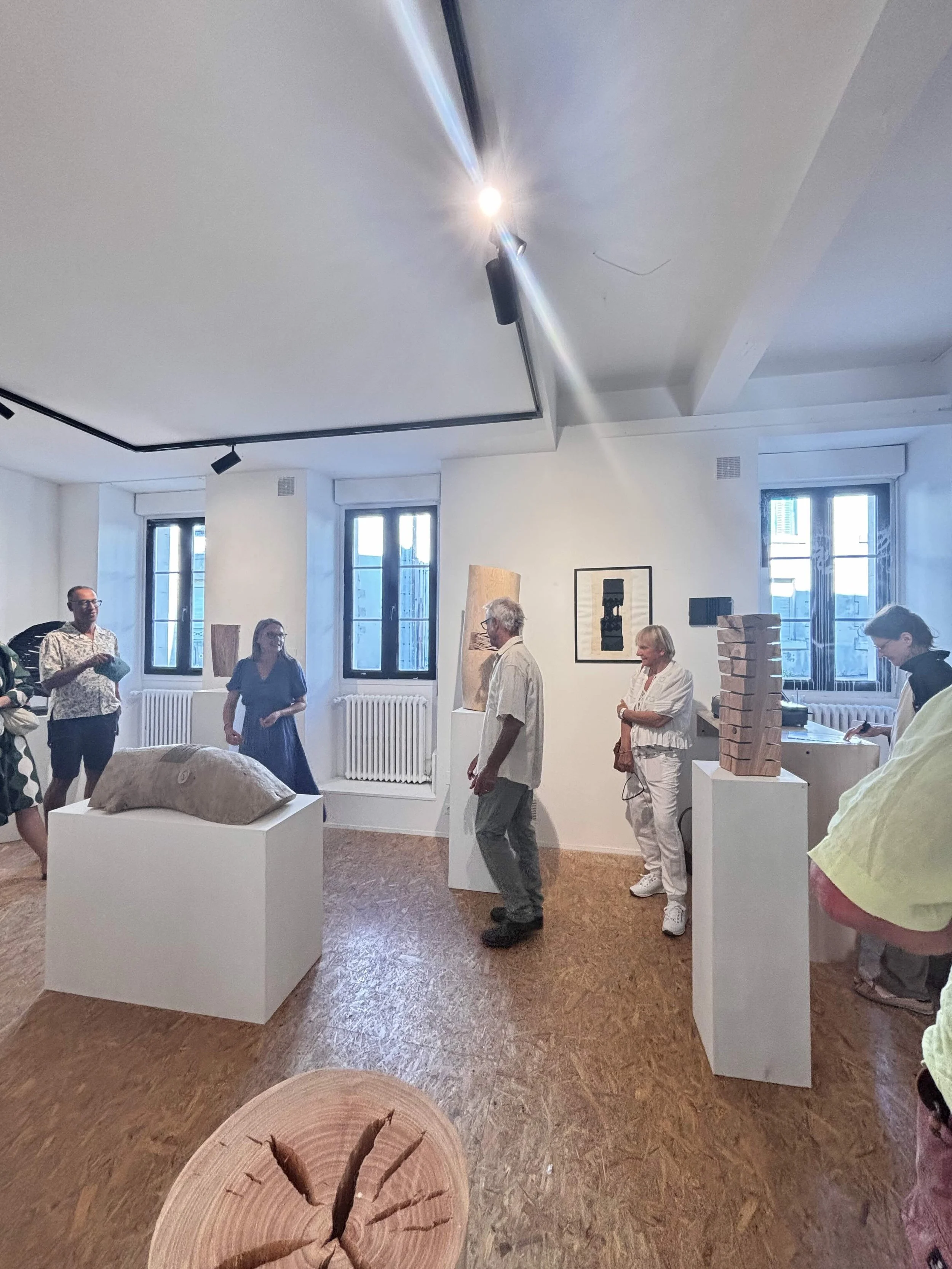 GALERIE D'ART VANNES LA TRAVERSE.jpg