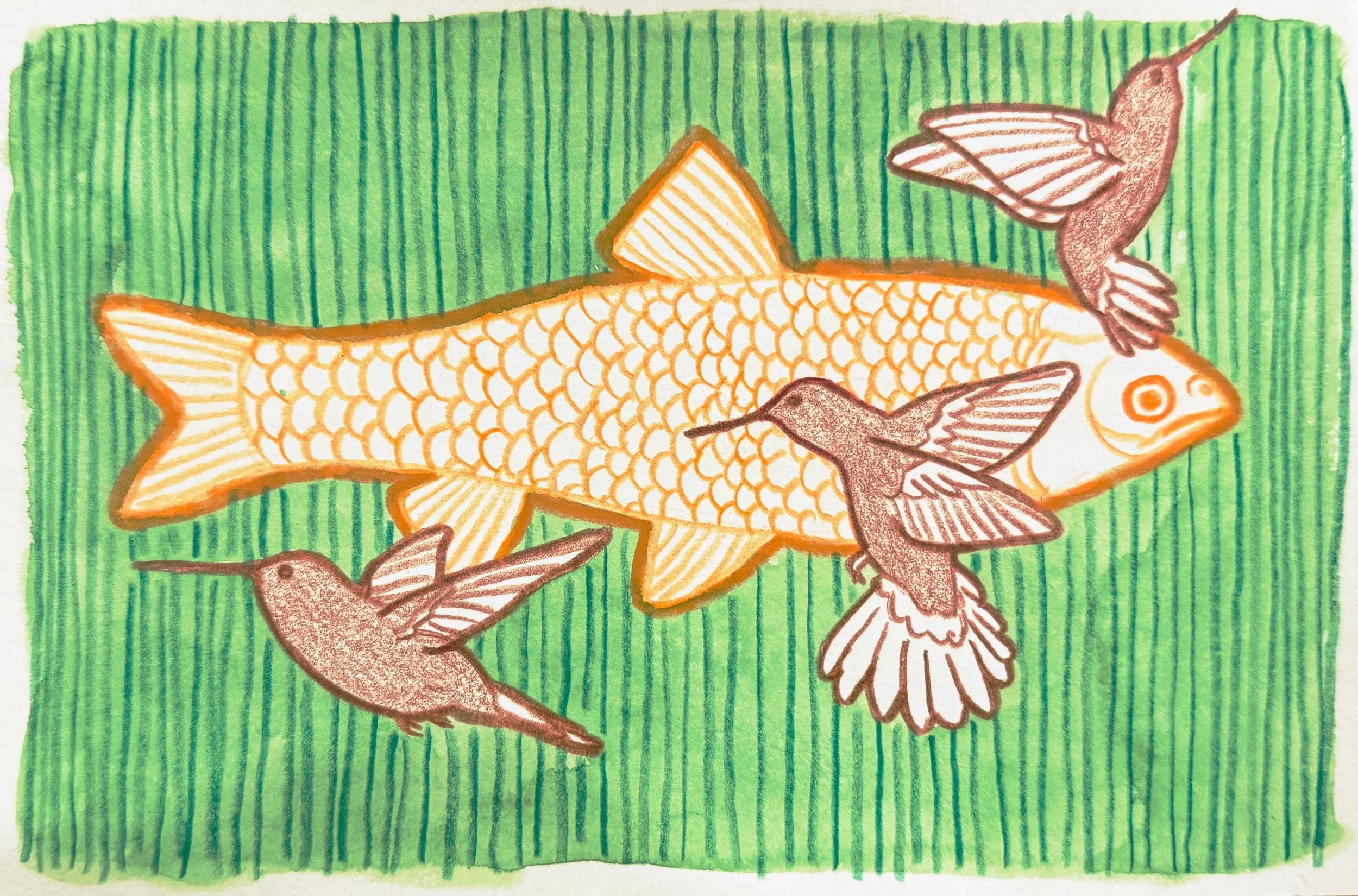 Grass Carp / Hummingbirds