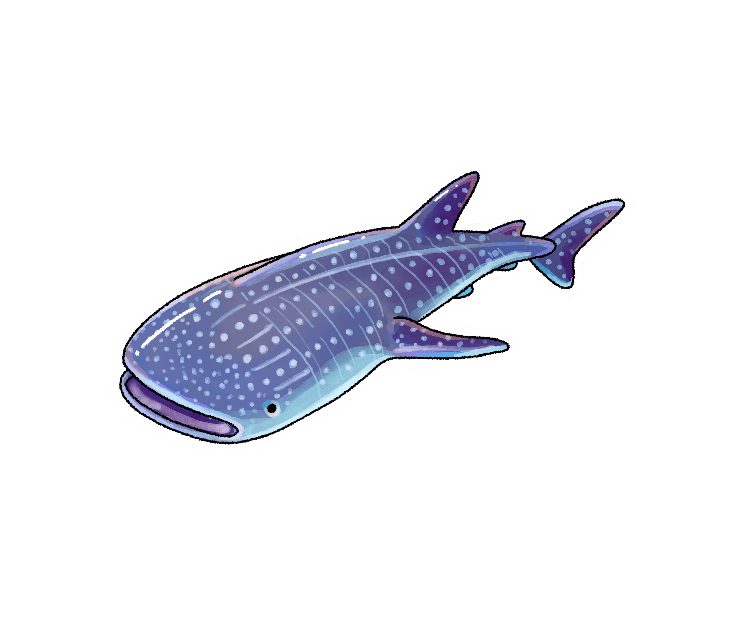 Untitled_Artwork 22.png