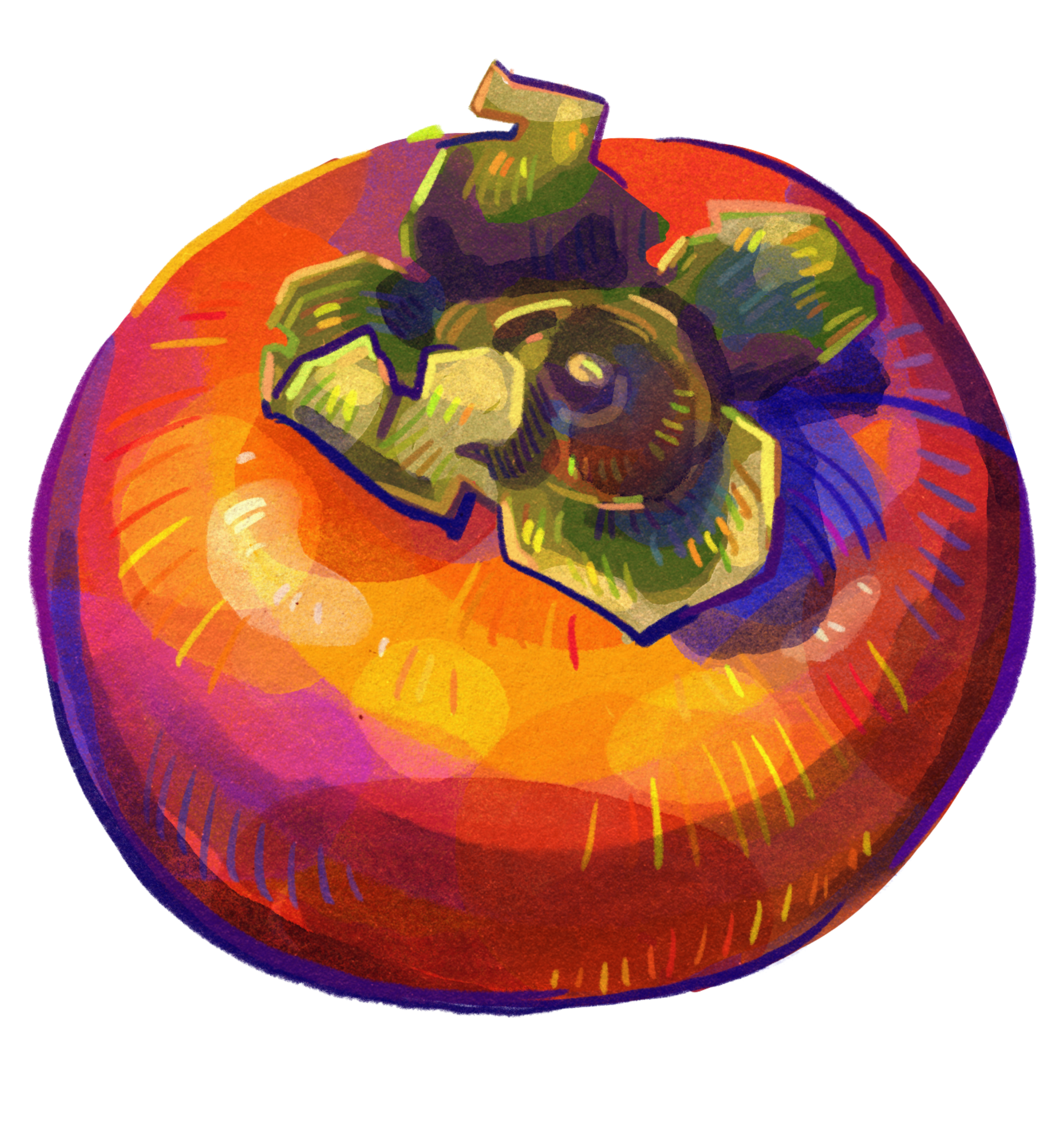 persimmon2.PNG