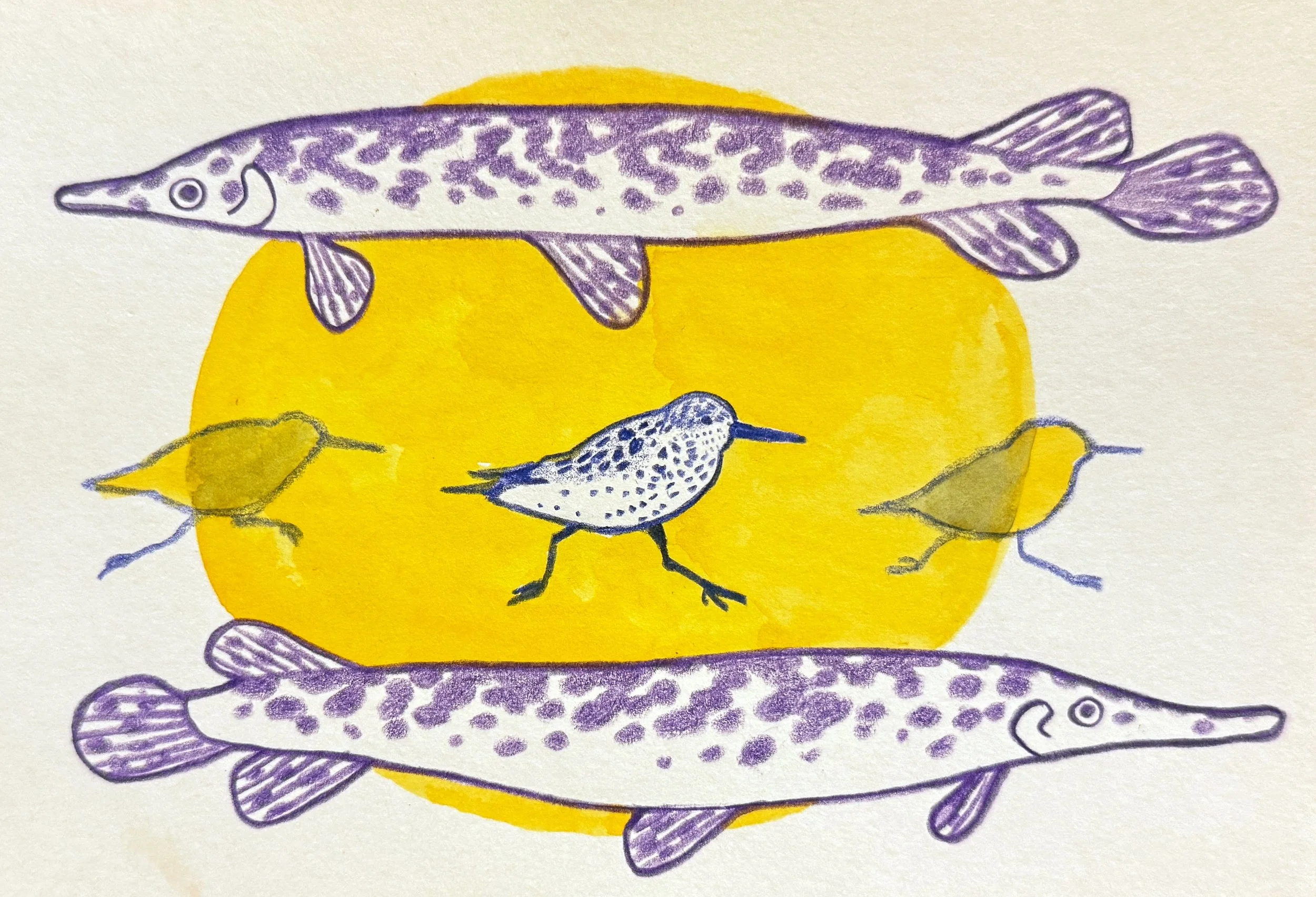 Gar / Sandpiper
