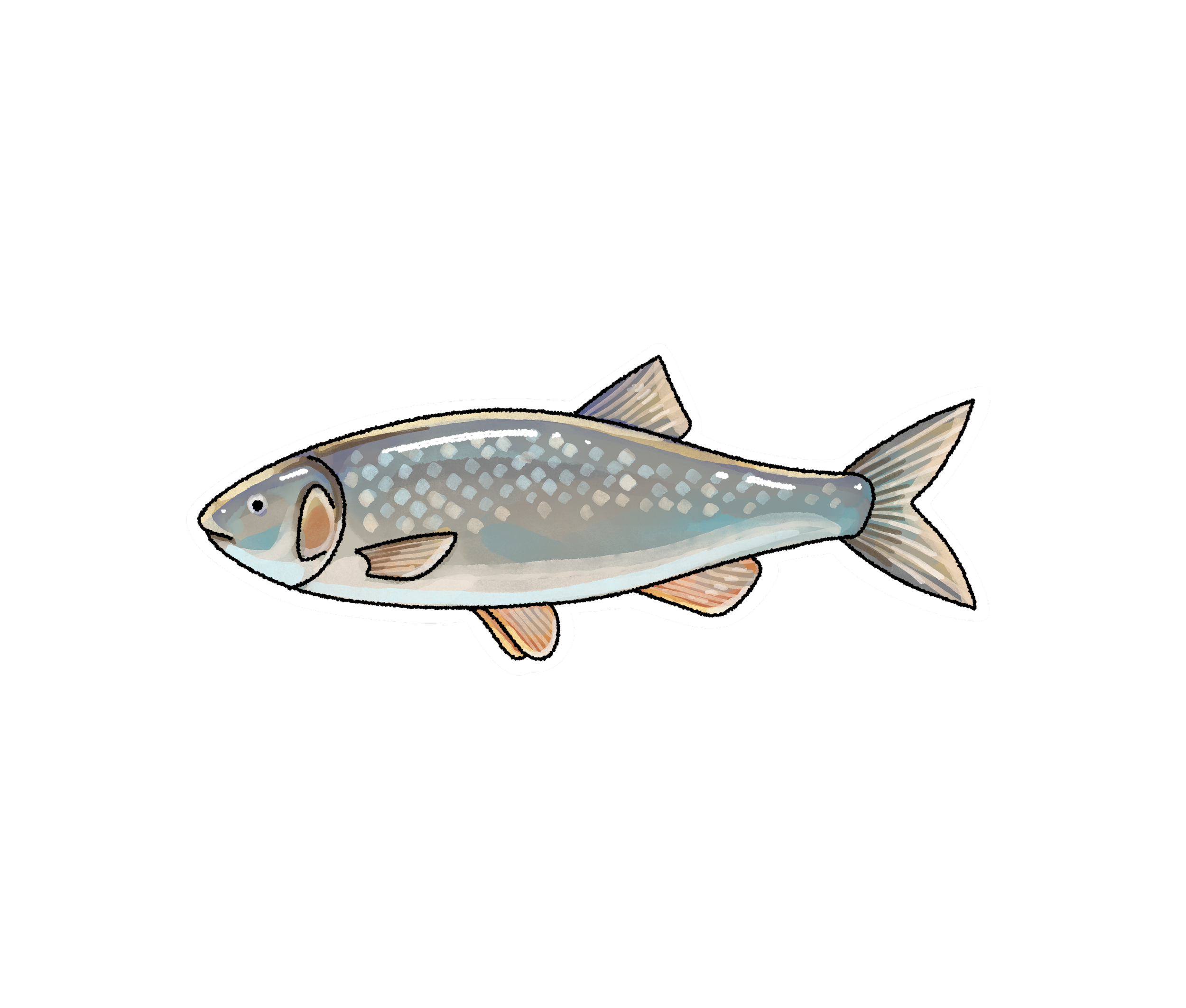 Untitled_Artwork 24.png