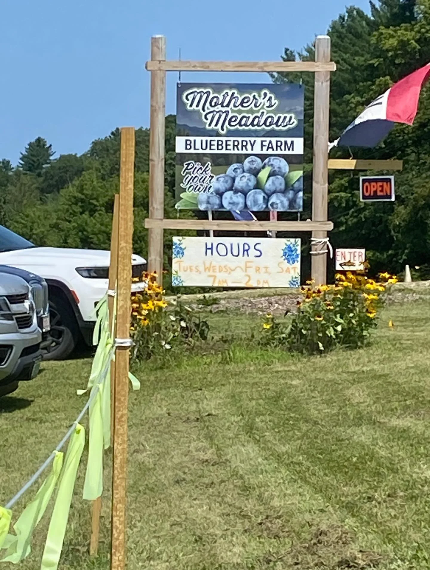 I have a bit of a crush on the town of Brandon, VT 🩵

🫐The new Mother&rsquo;s Meadow Blueberry Patch is rich with the sweetest berries

🥬 Woods Market is my current supermarket

🌺Mary at Virgil &amp; Constance is my go to for all my (new) perenni