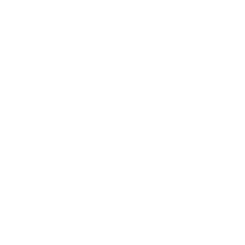 Four Seasons Sotheby's International Realty Logo
