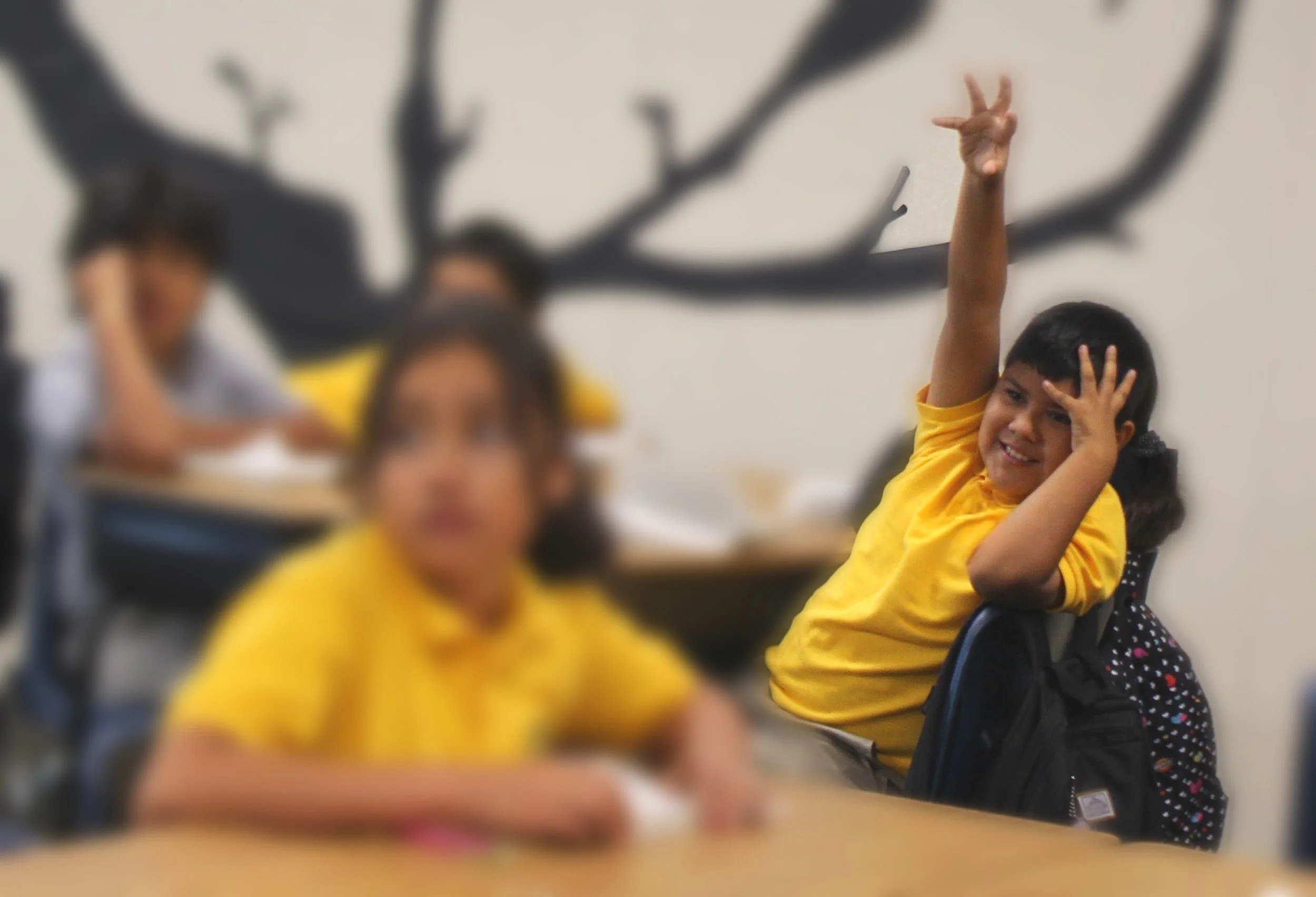 A young boy in a yellow shirt raises his hand triumphantly while sitting in a classroom, with other children and a wall decorated with a tree branch and leaves in the background.