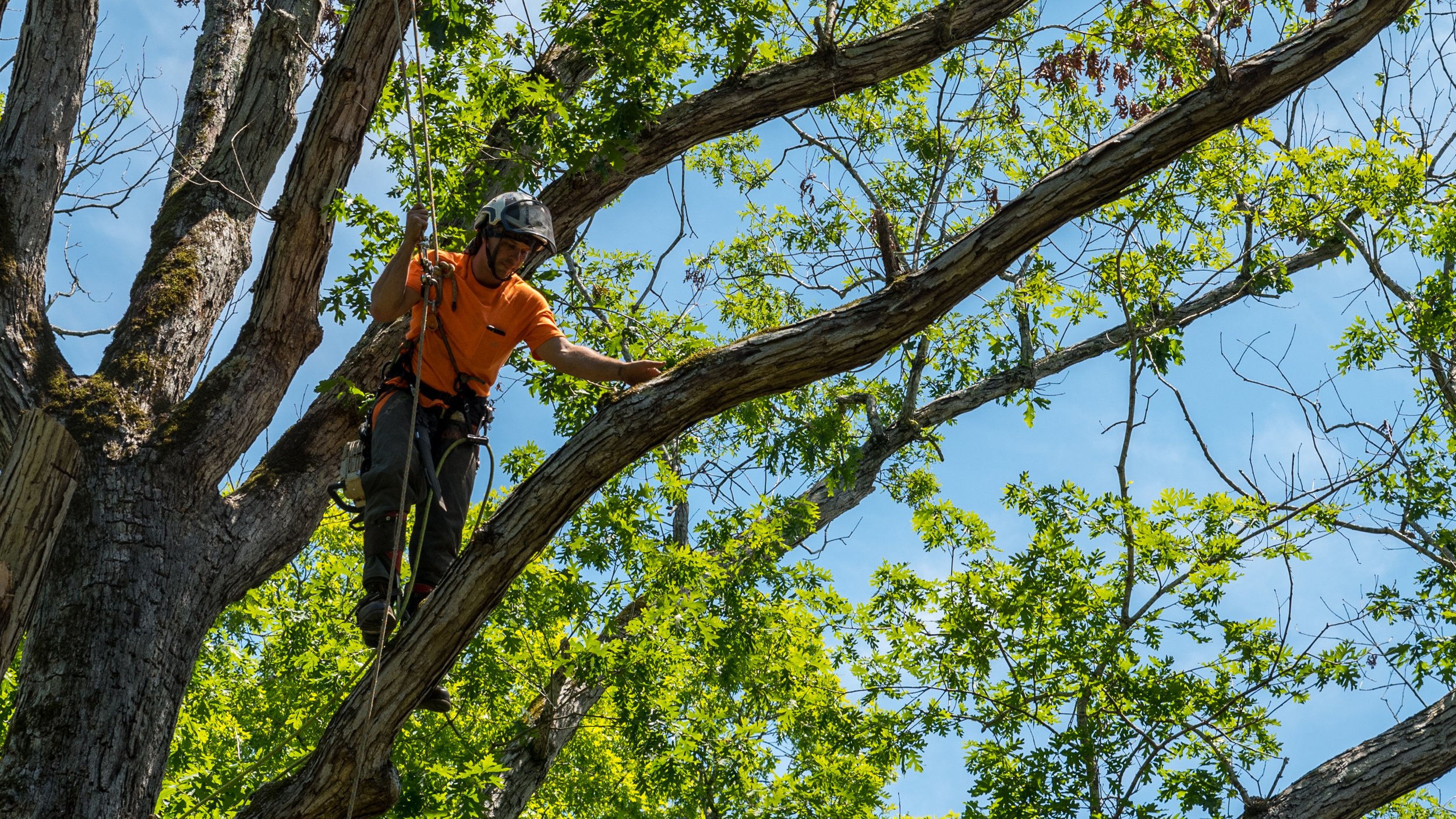 With state-of-the-art equipment and a commitment to safety and environmental responsibility, we ensure the job is done promptly and with minimal disruption to your surroundings.