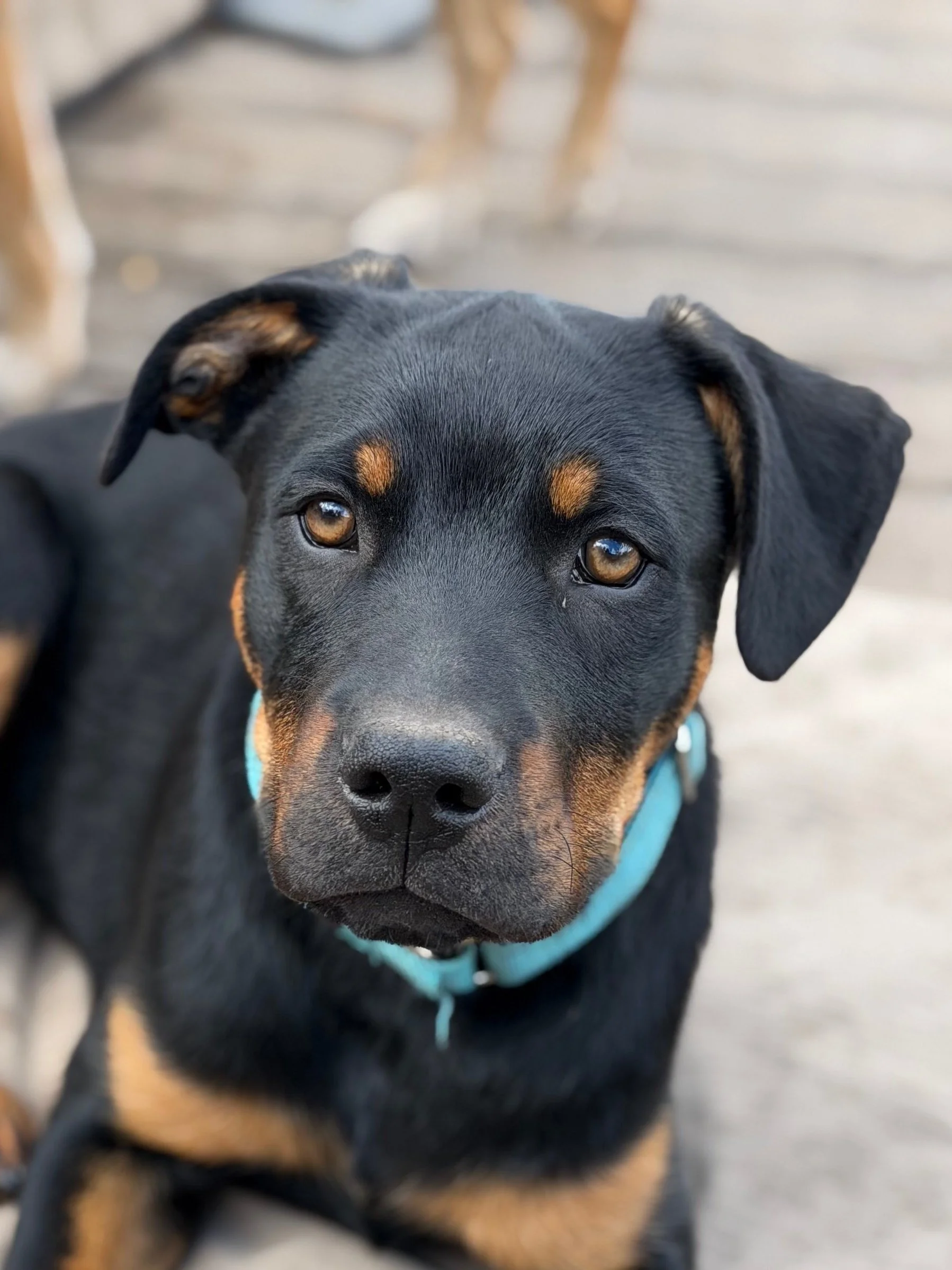 5 mos