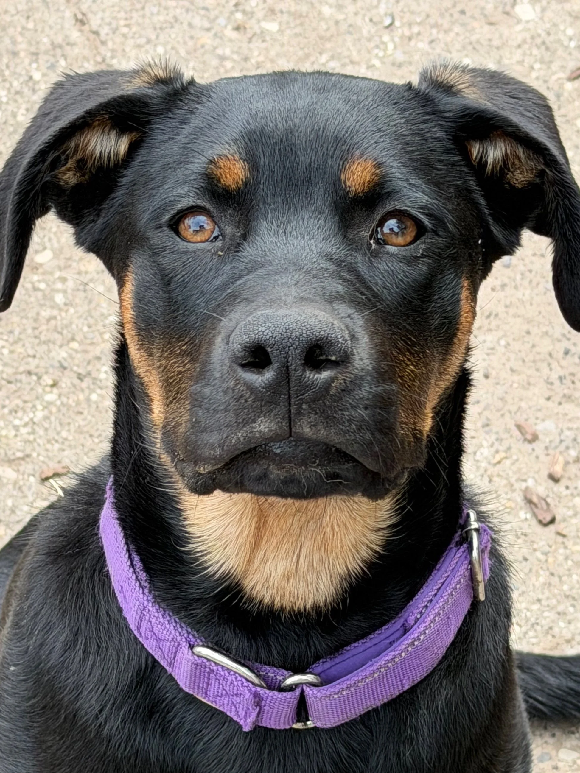 5 mos