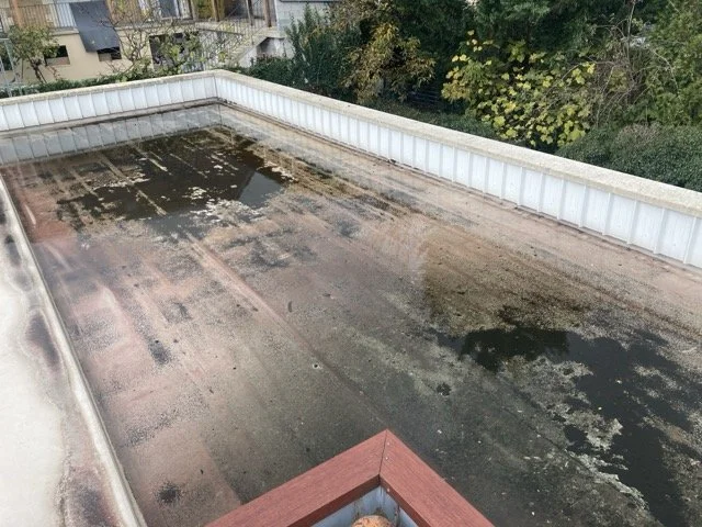 Surveillance des zones de stagnation d'eau sur toiture terrasse lors de la visite