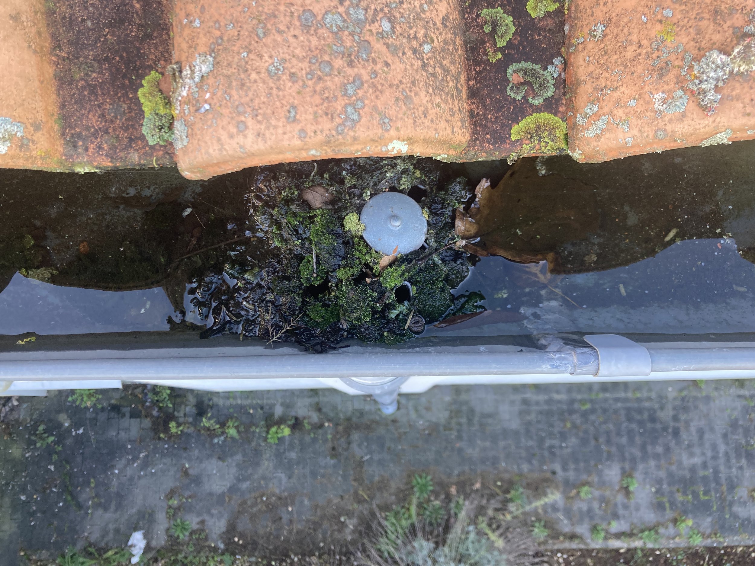 Entretien complet d'une toiture-terrasse à Angoulême Charente