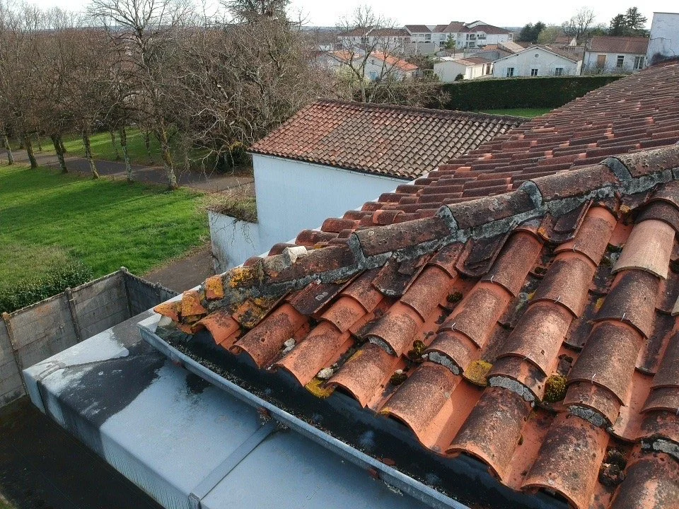 Repérage de présence de mousses et défauts d'étanchéité sur toiture dans le 16 (Charente)