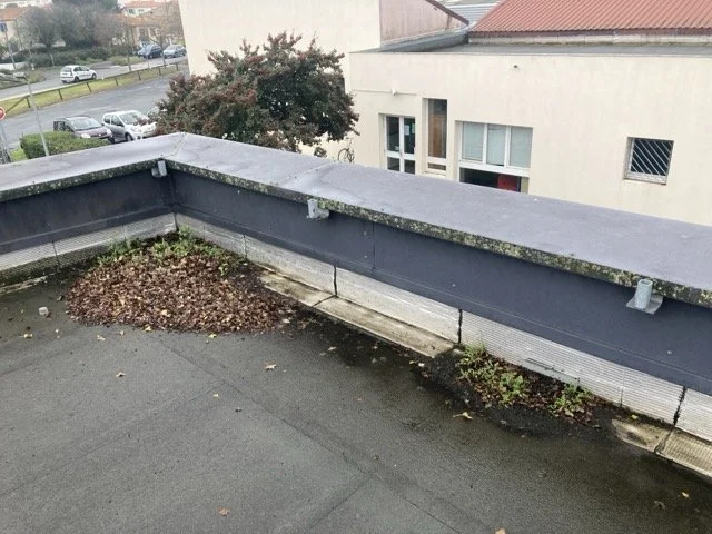Nettoyage de toiture terrasse et retrait de feuilles mortes à Angoulême