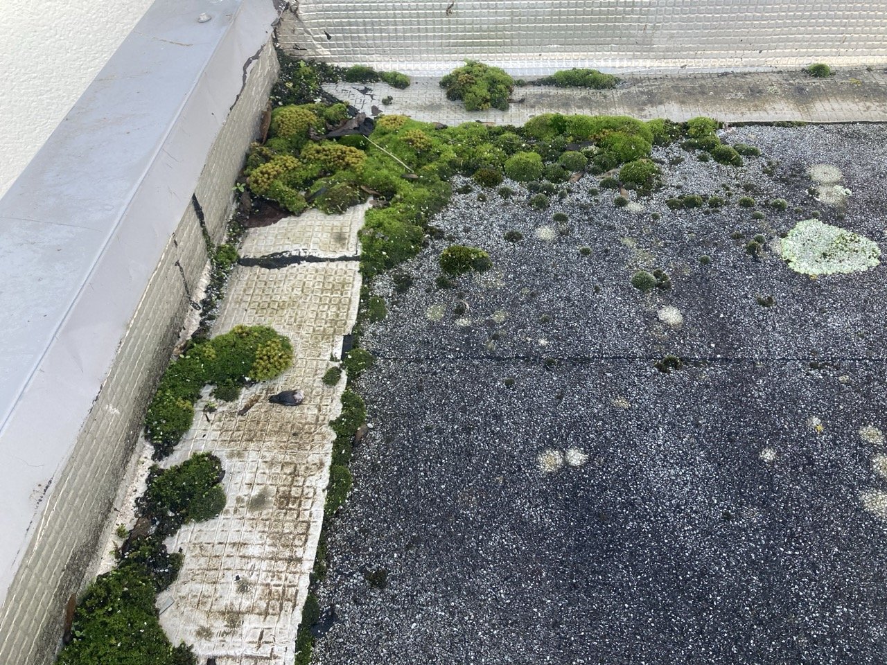 Détection de cloques ou déchirures sur la membrane bitumineuse