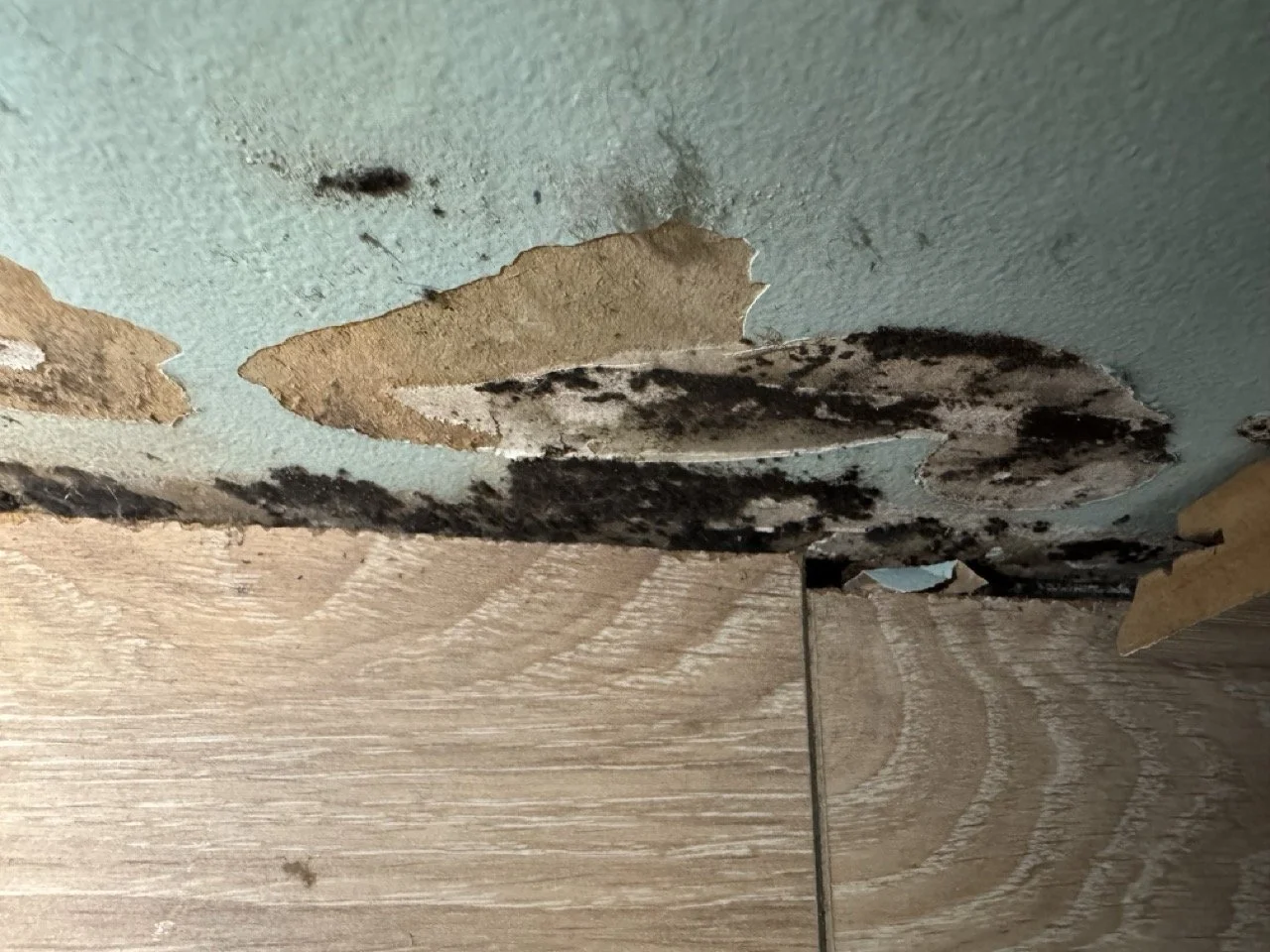 Diagnostic d'humidité en bas de mur causée par une canalisation enterrée défectueuse