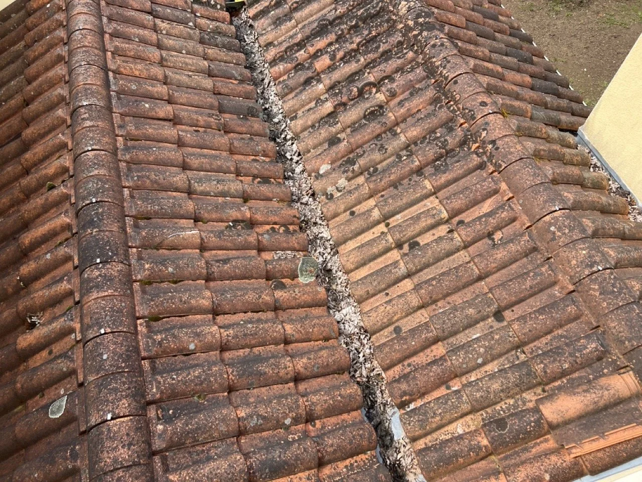 Entretien courant de toiture en tuiles à Angoulême