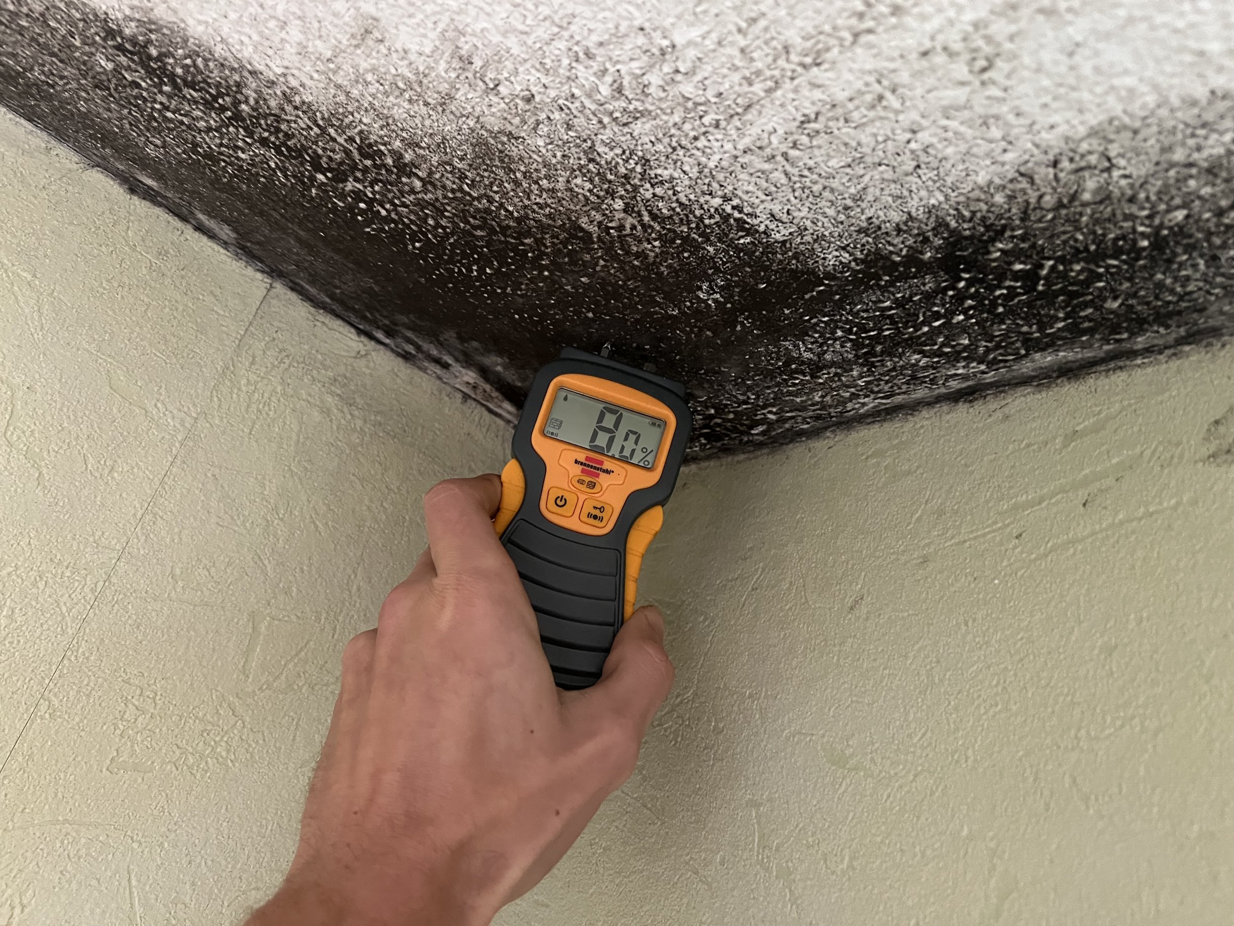 Mesure d’humidité murale à l’humidimètre – Cognac (16).jpg