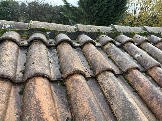 Repérage de tuile fissurée ou déplacée lors d'un diagnostic toiture à Angoulême