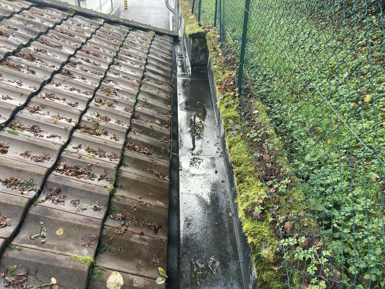 Retrait des feuilles mortes pour éviter les retenues d'eau sur le toit