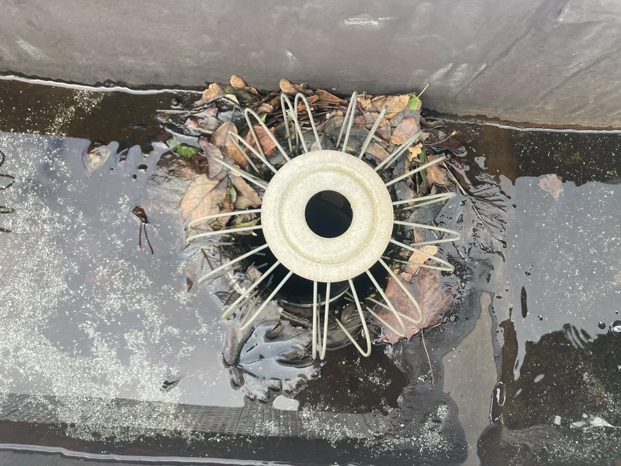 Évacuation d'eau pluviale bloquée risquant de causer un débordement