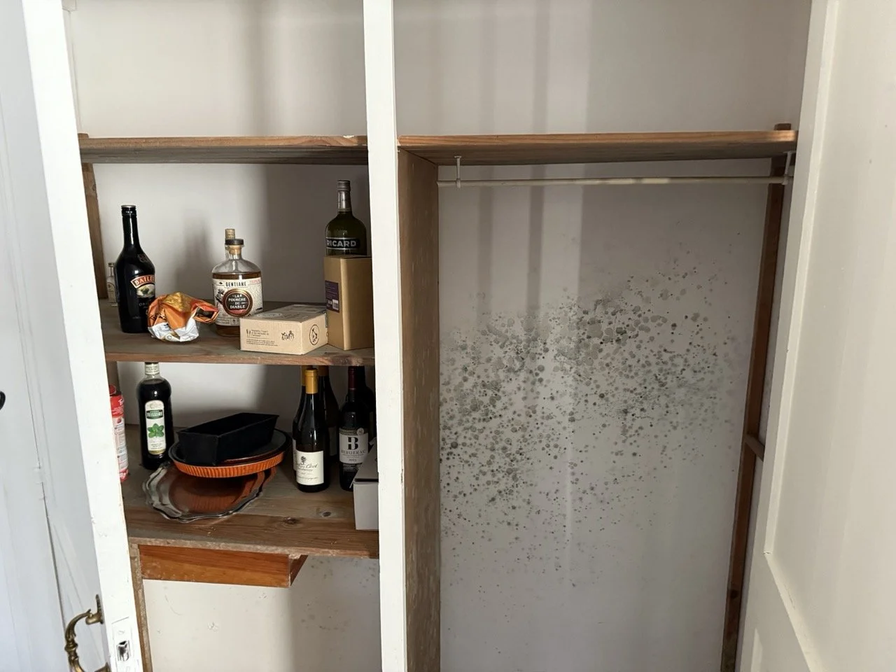 Identification de la cause des moisissures et taches noires sur les murs à Soyaux