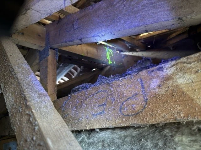 Utilisation de traceurs UV / colorants pour trouver une fuite sous les tuiles en Charente