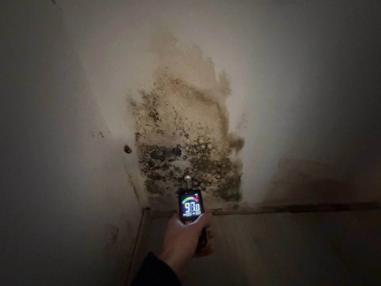 Mesure du taux d'humidité dans les murs avec testeur professionnel