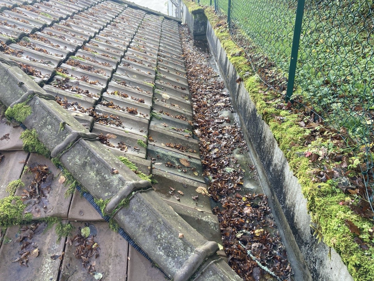 Nettoyage manuel de toiture pour retirer les végétaux