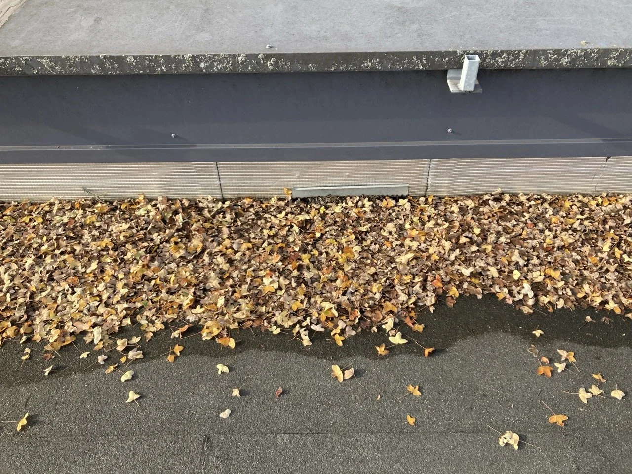 Boîte à eau de toiture obstruée par des déchets en Charente