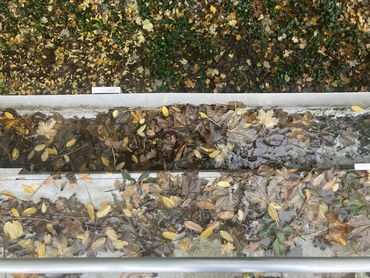 Débouchage de la naissance de descente pluviale obstruée