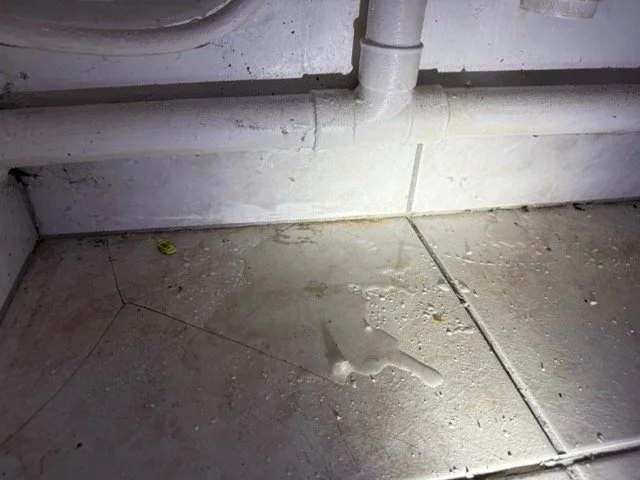 Zone humide anormale ou remontée d'eau