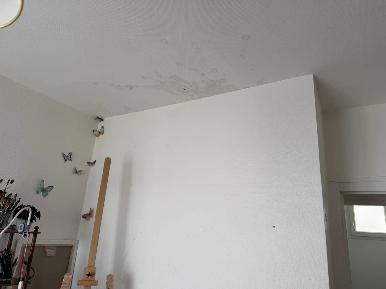 Auréoles d'humidité au plafond d'un logement à Cognac (16), infiltrations en provenance de la toiture