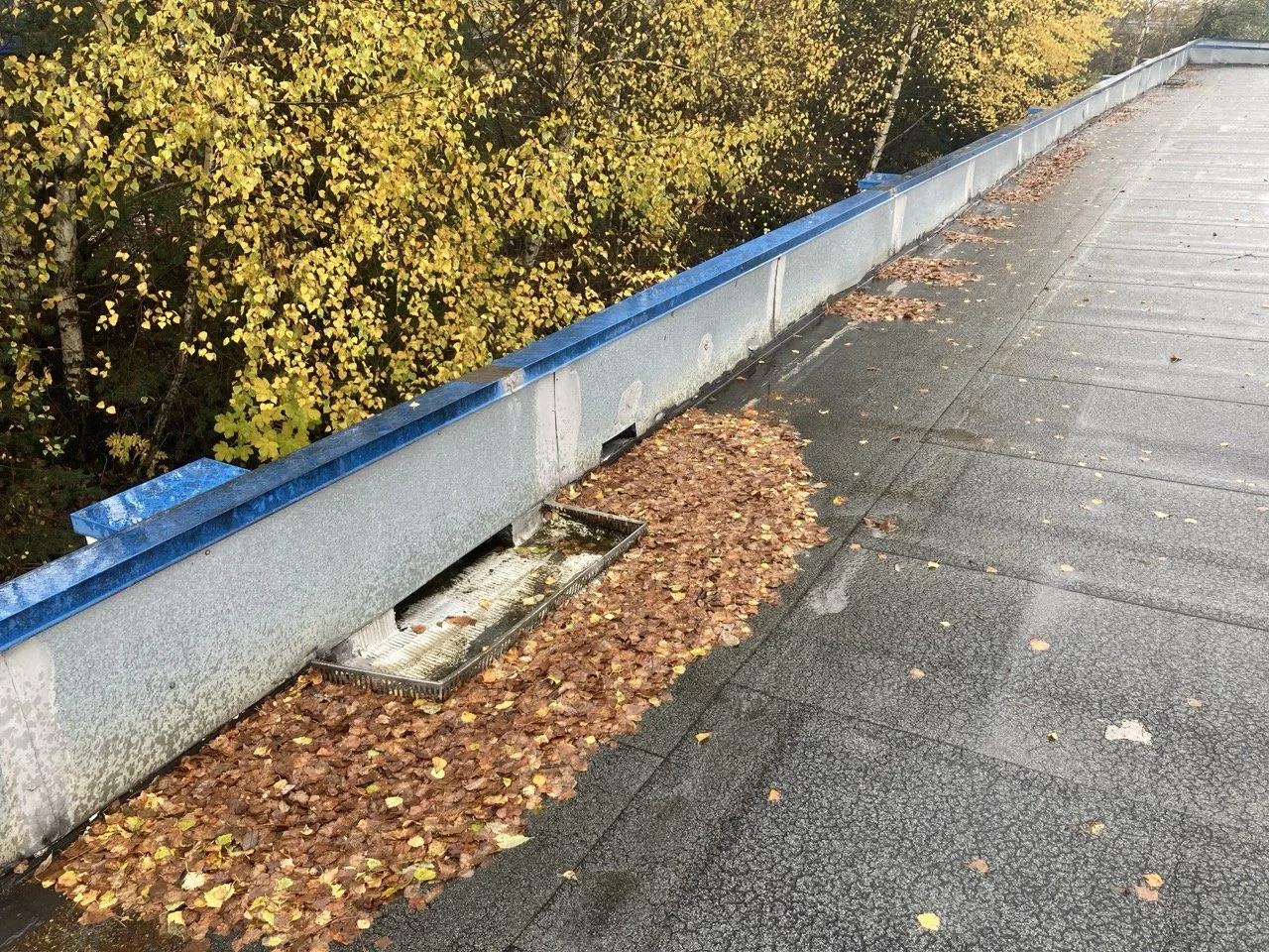 Nettoyage et entretien partie courante toiture terrasse