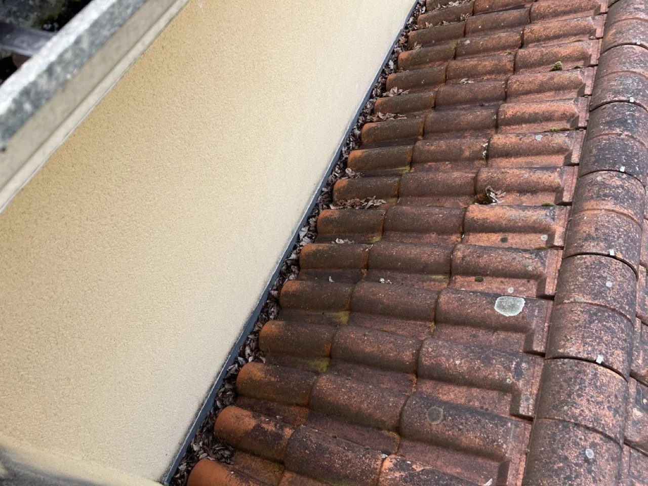 Contrôle de la présence de mousse et lichens sur la toiture