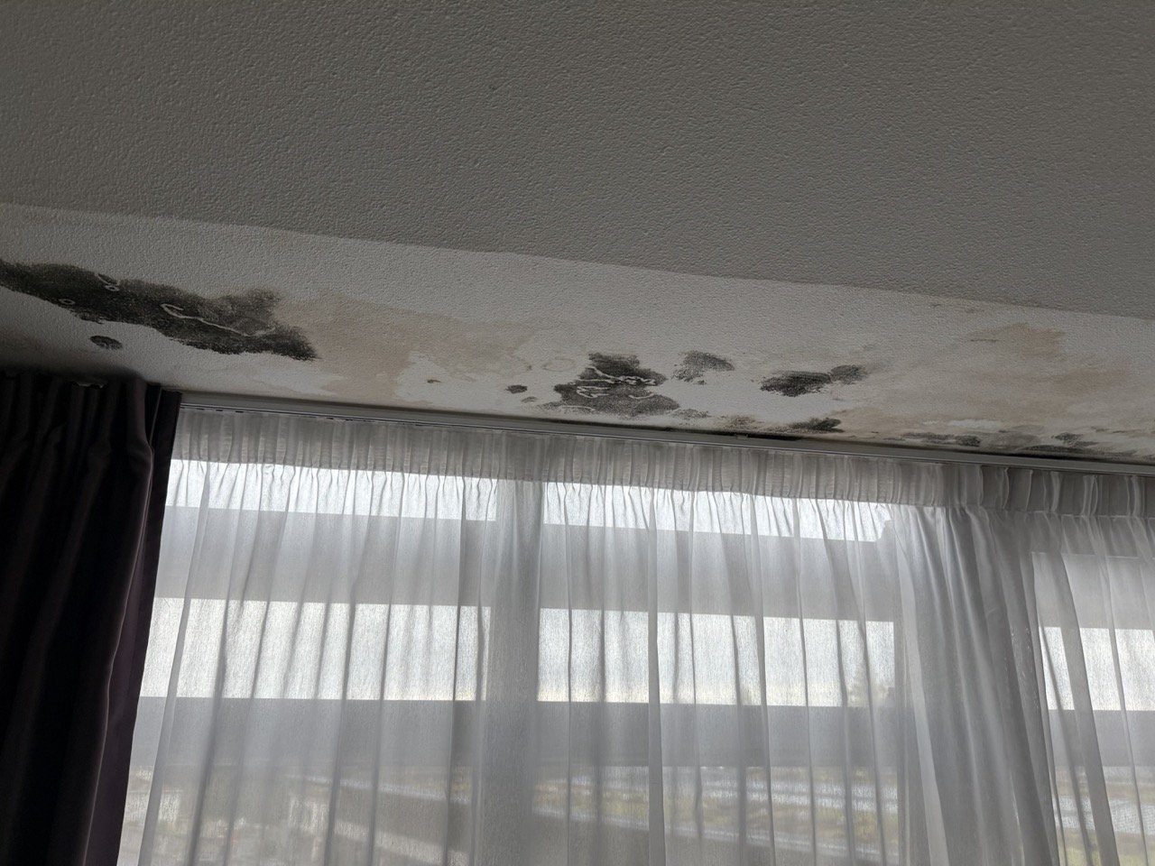 Recherche de fuite en toiture / Origine remontée capillaire via le pare-pluie