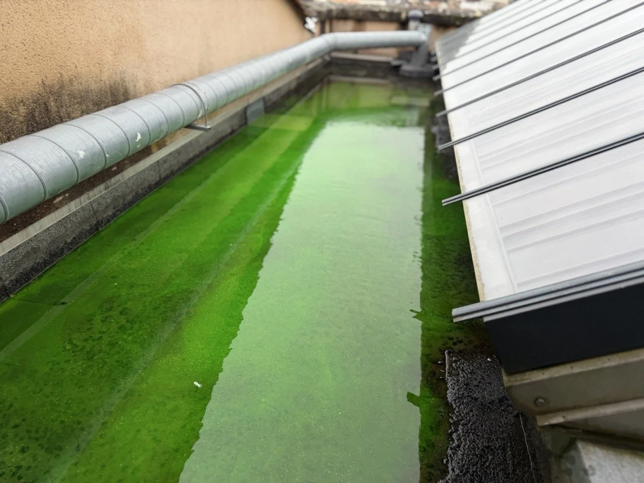 recherche de fuite toiture terasse angouleme charente