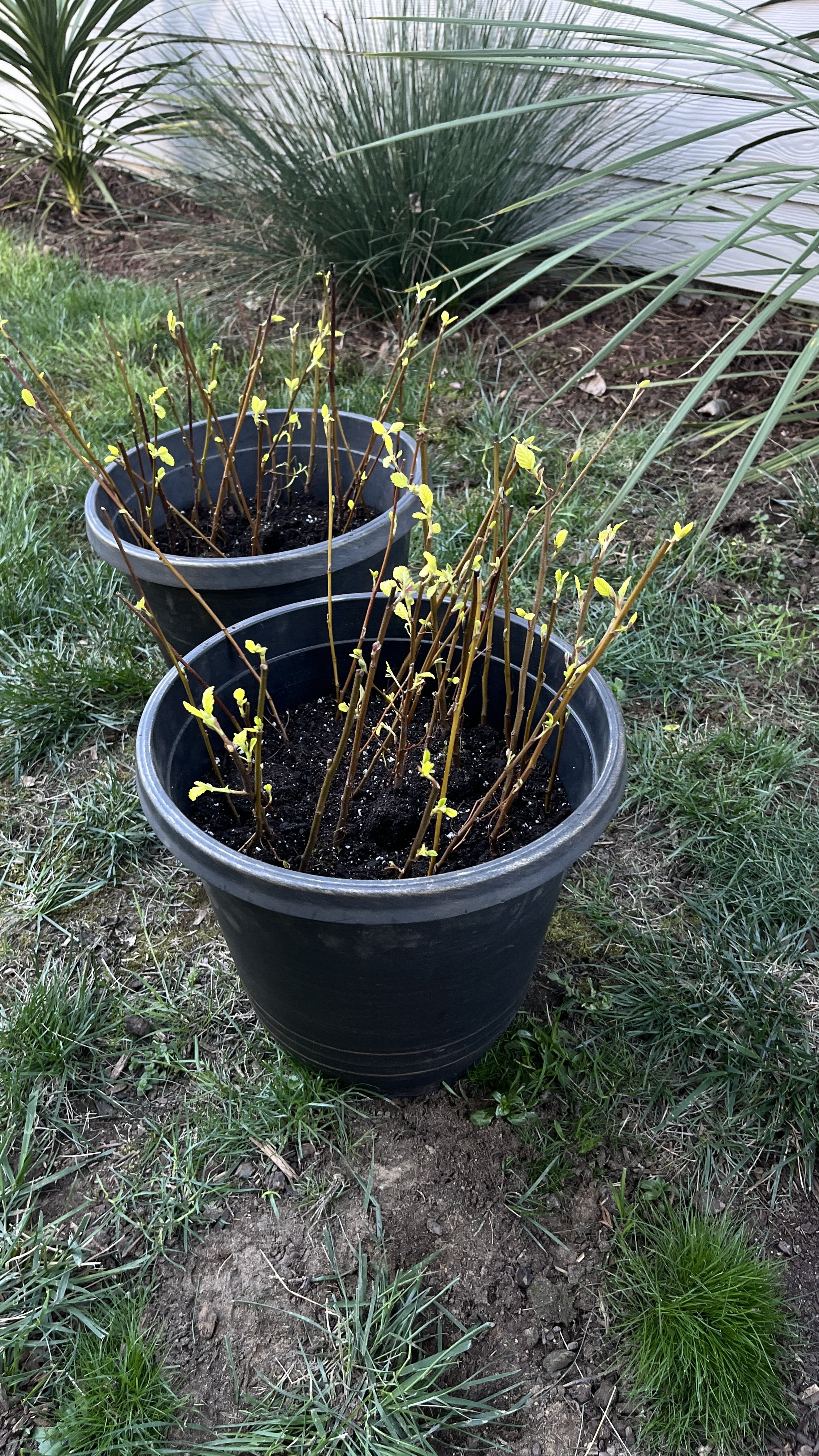 8.Inspiring others and lots of trees! 