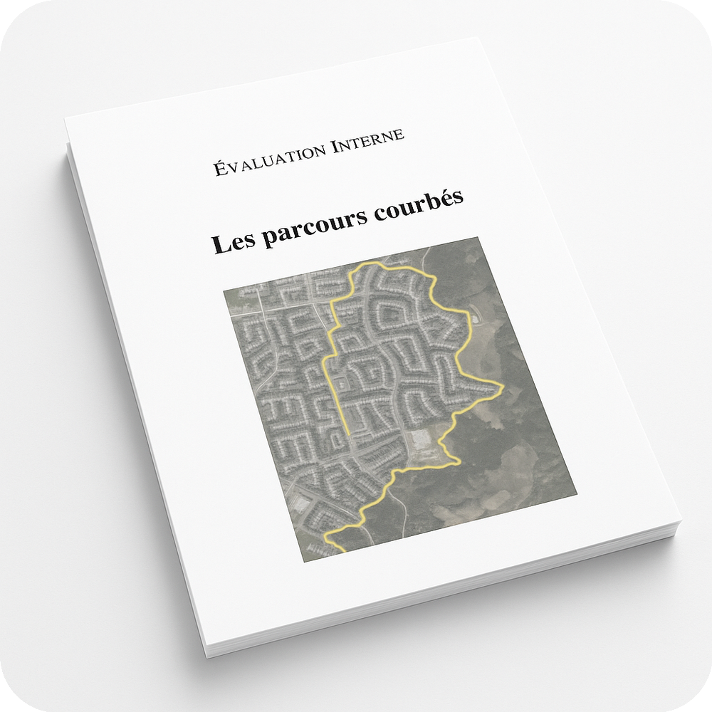 Academic Project – Évaluation interne (Baccalauréat international)