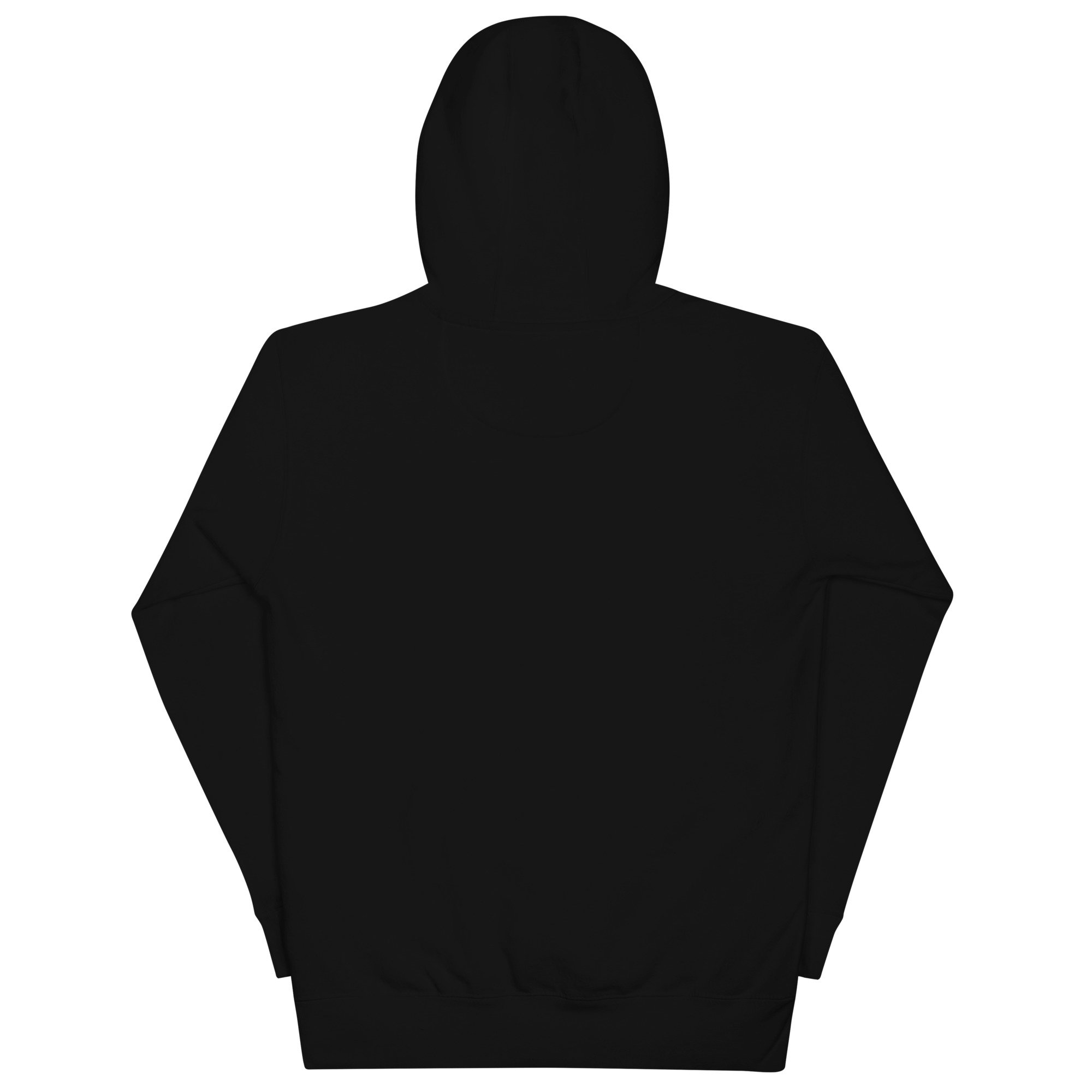 unisex-premium-hoodie-black-back-681c1a3e4736b.jpg
