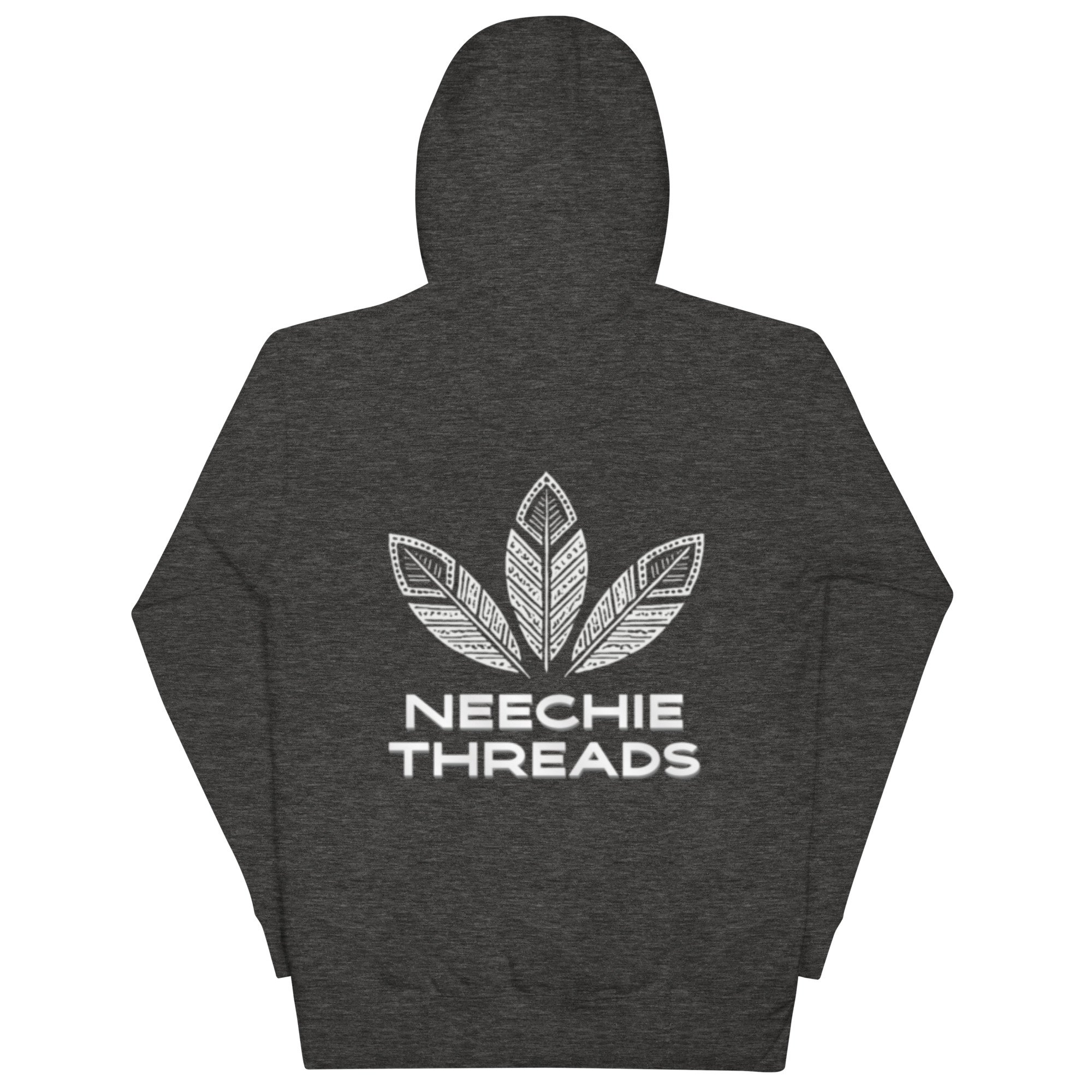 unisex-premium-hoodie-charcoal-heather-back-681c1e758f11b.jpg