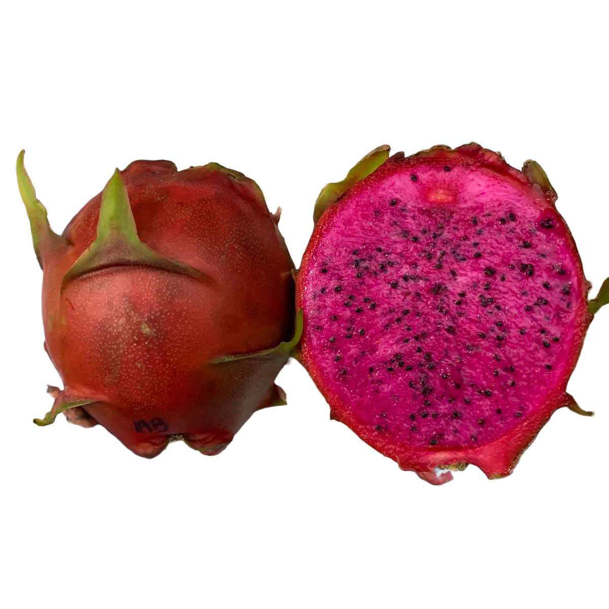 AmericanBeauty_2_1024x1024@2x.png