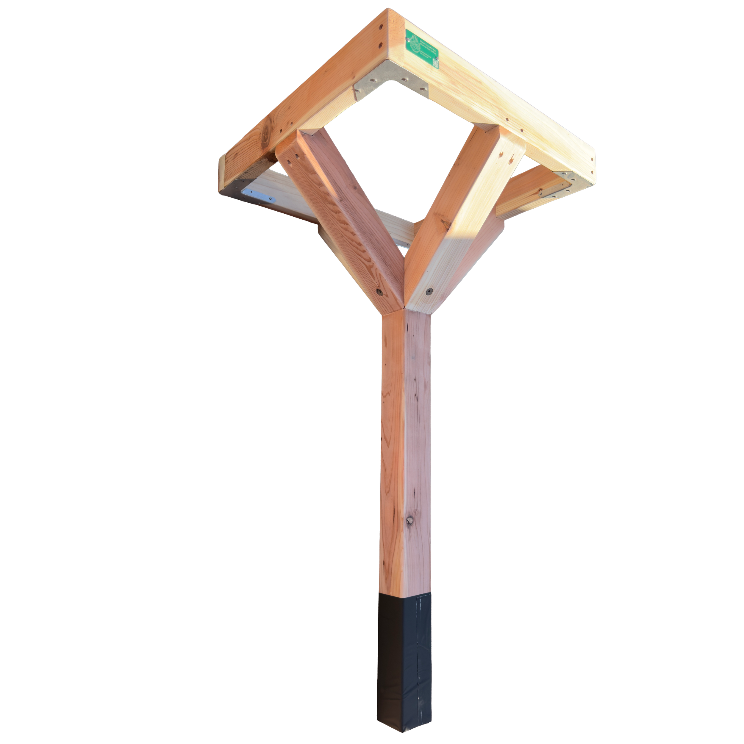 IMG_1137.png
